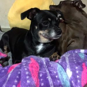 Meet your Posher, Rocio